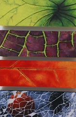 Netzwerk / Privatbesitz