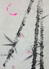 Iron sky / Privatbesitz