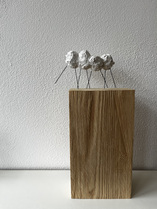 Piepmätzchen / Gips auf Holz (ca. 15 x 20 x 50 cm)