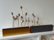 Oha! / Mohn und Acryl auf Holz / 80 x 40 cm